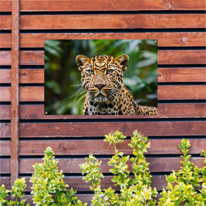 Stille Waarnemer - Luipaard in de Wildernis tuinposter
