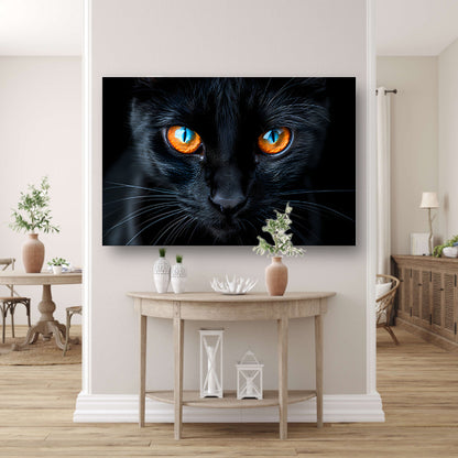 Zwarte kat met blauwe en oranje ogen canvas