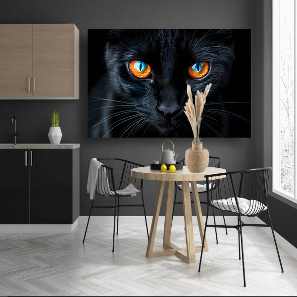 Zwarte kat met blauwe en oranje ogen canvas