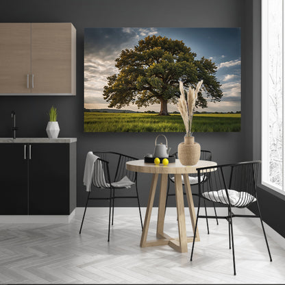 Een majestueuze boom in een groen veld canvas met baklijst