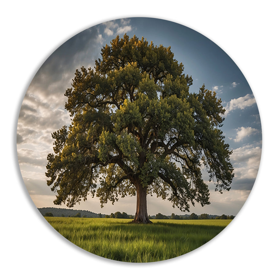 Een majestueuze boom in een groen veld aluminium muurcirkel