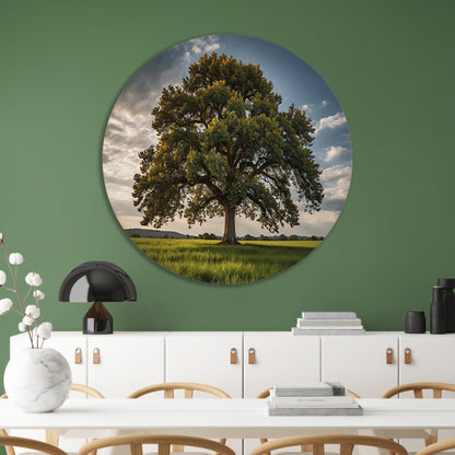 Een majestueuze boom in een groen veld aluminium muurcirkel