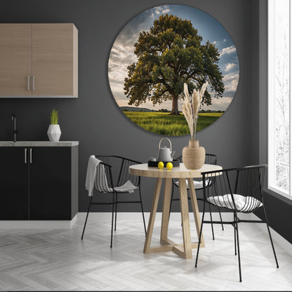 Een majestueuze boom in een groen veld aluminium muurcirkel