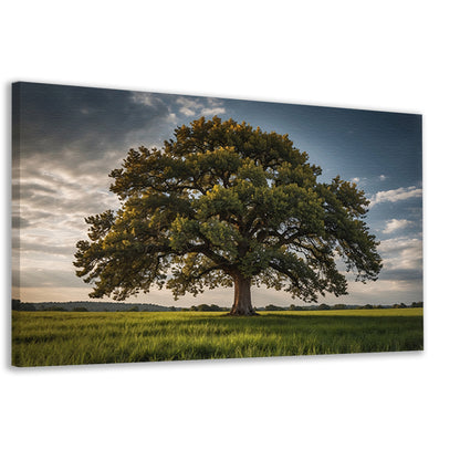 Een majestueuze boom in een groen veld canvas