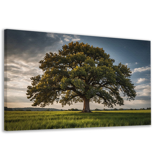 Een majestueuze boom in een groen veld canvas