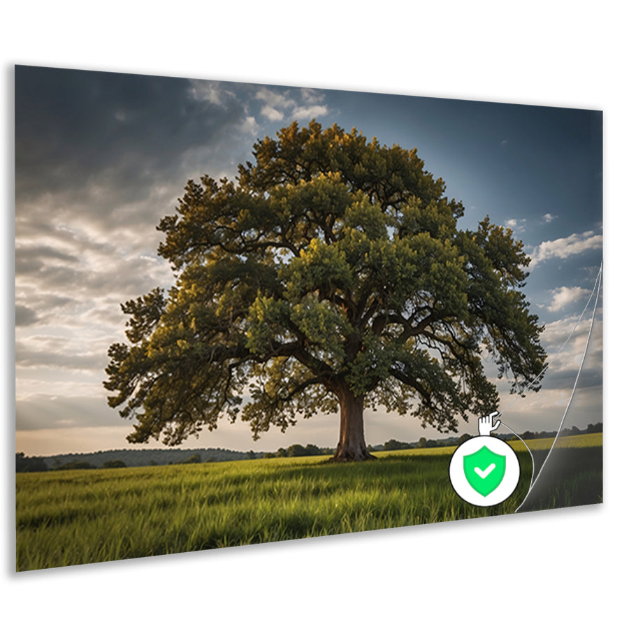 Een majestueuze boom in een groen veld poster