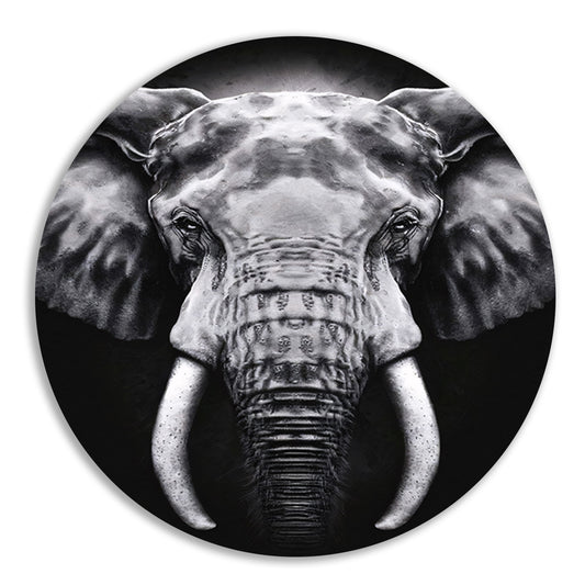 Olifant in monochroom zwart en wit forex muurcirkel
