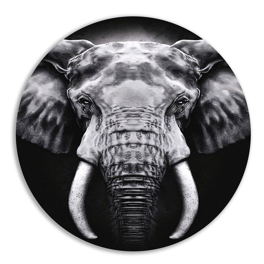 Olifant in monochroom zwart en wit forex muurcirkel