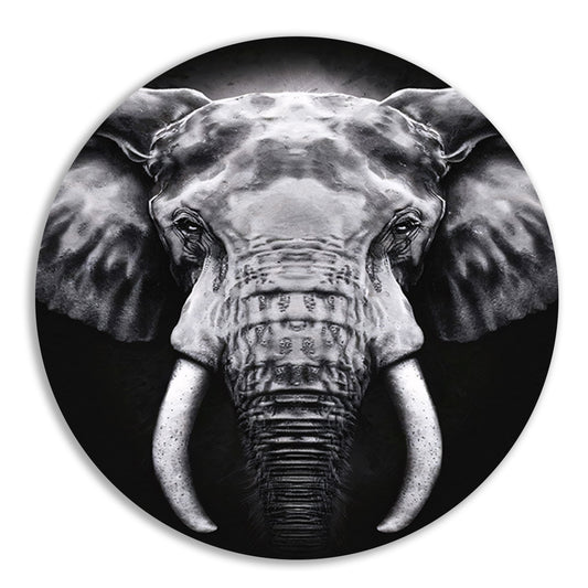 Olifant in monochroom zwart en wit aluminium muurcirkel