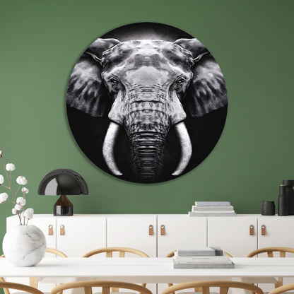 Olifant in monochroom zwart en wit aluminium muurcirkel