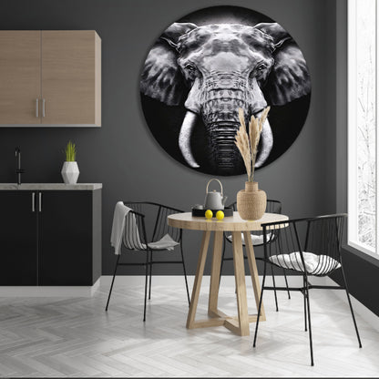 Olifant in monochroom zwart en wit forex muurcirkel