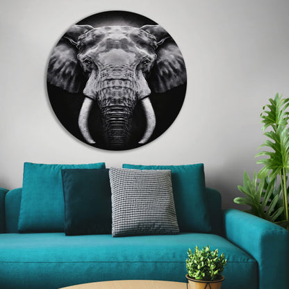 Olifant in monochroom zwart en wit aluminium muurcirkel