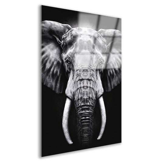 Olifant in monochroom zwart en wit acrylglas