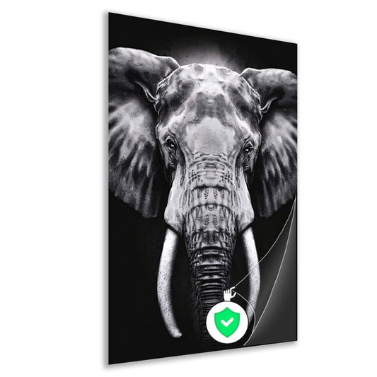 Olifant in monochroom zwart en wit poster