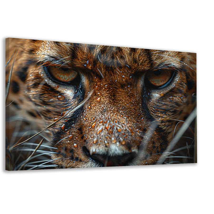Close-up van natte luipaard met intense blik canvas