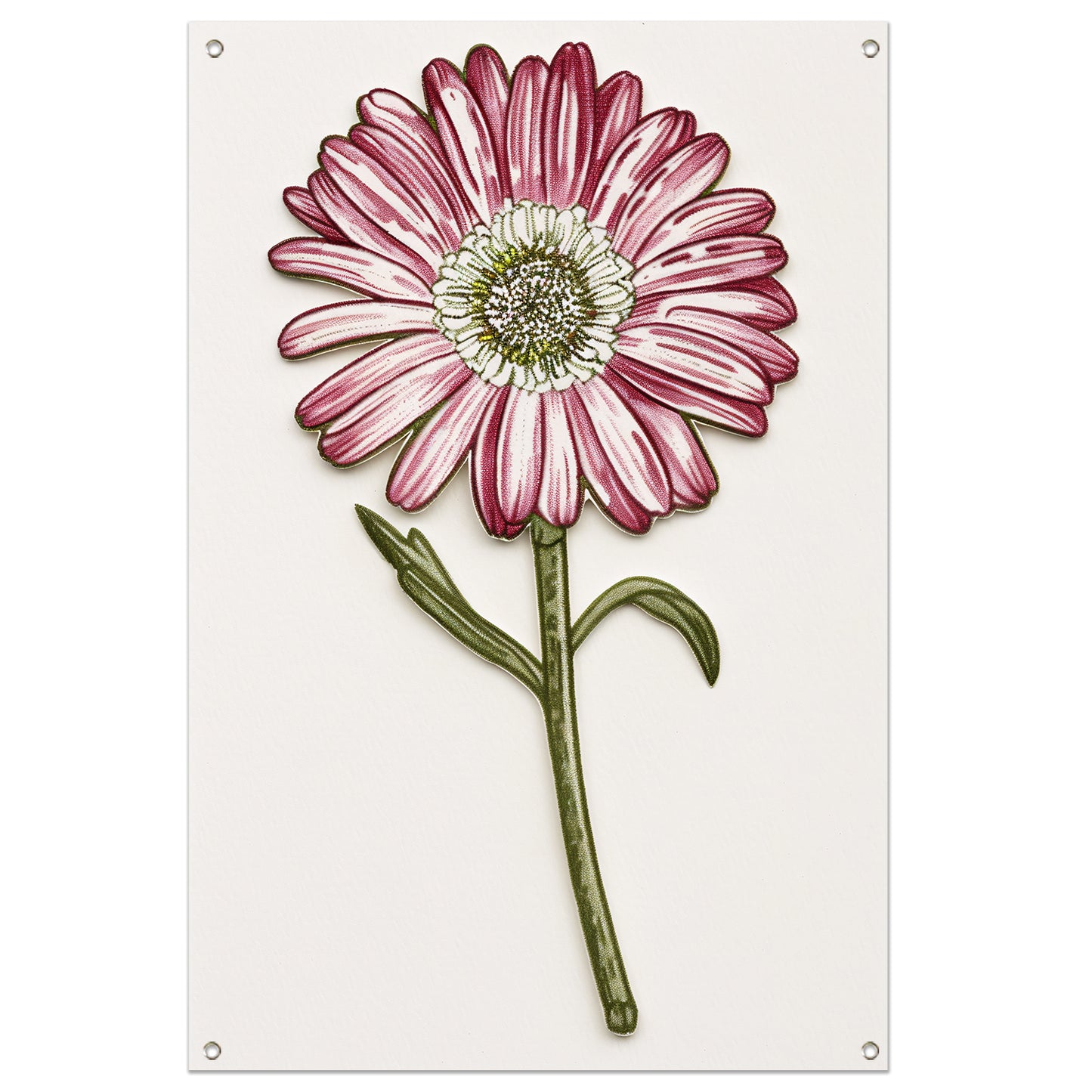 Gedetailleerde aquarel bloem met bladeren tuinposter