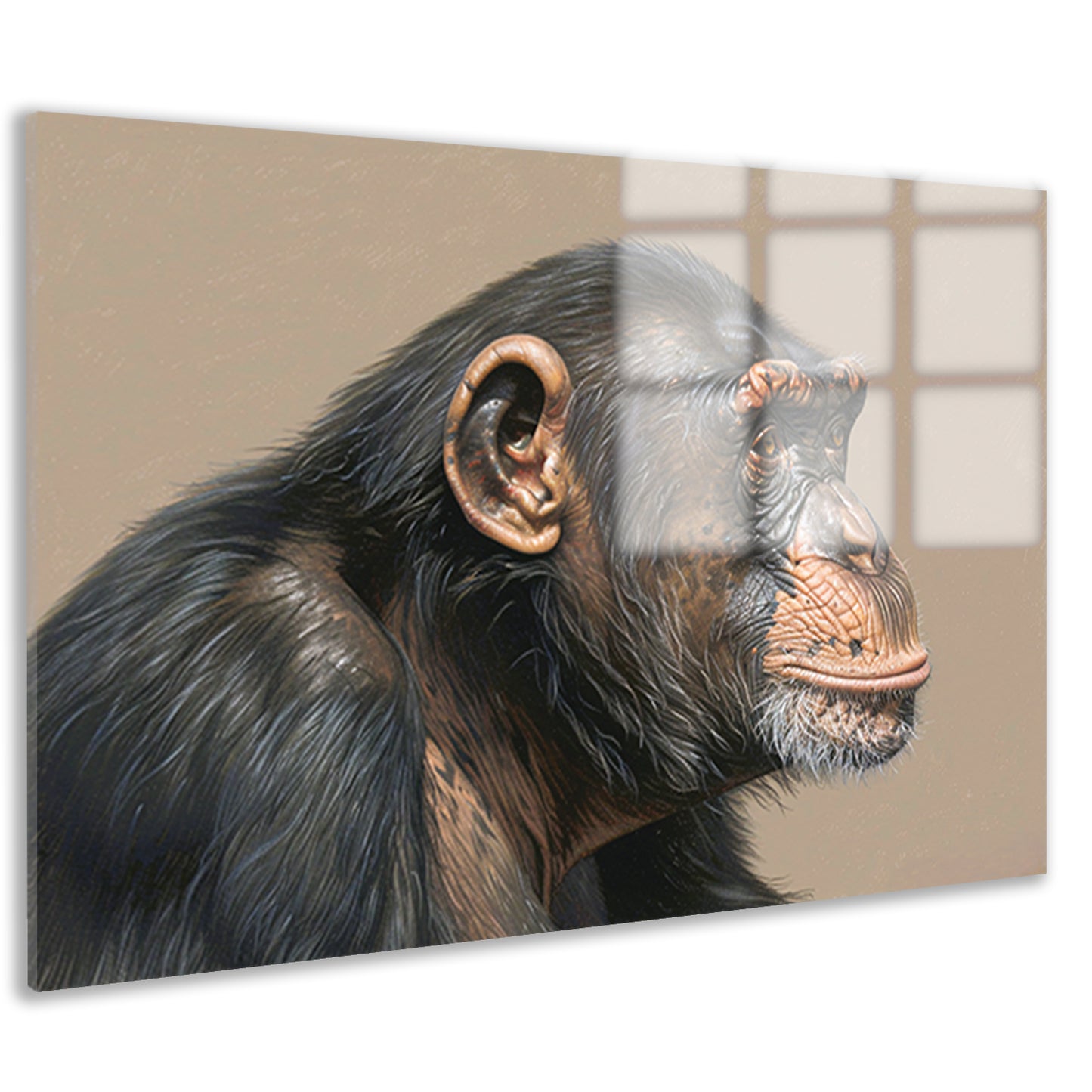 Gedetailleerde realistische aquarel van een aap acrylglas