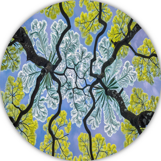 Impressionistische Bomen aluminium muurcirkel