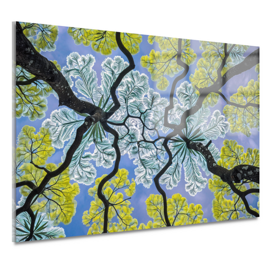 Impressionistische Bomen acrylglas