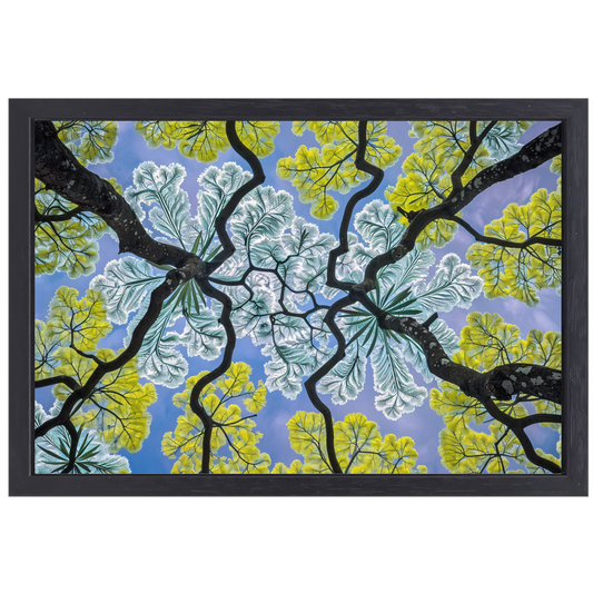 Impressionistische Bomen canvas met baklijst