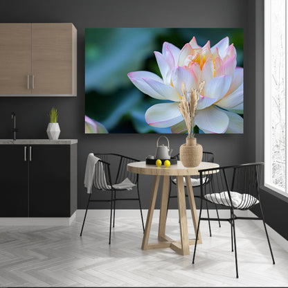 Prachtige close-up van een bloeiende lotus poster