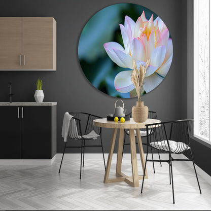 Prachtige close-up van een bloeiende lotus forex muurcirkel