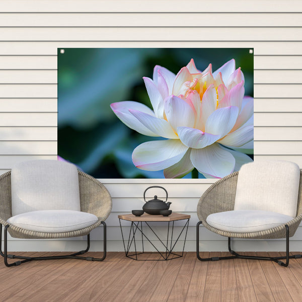 Prachtige close-up van een bloeiende lotus tuinposter