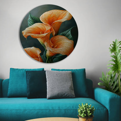 Oranje calla lelies met dauw tegen donkere achtergrond aluminium muurcirkel