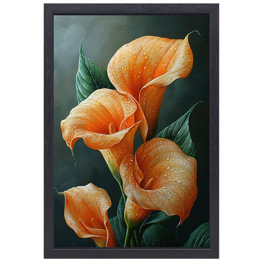 Oranje calla lelies met dauw tegen donkere achtergrond canvas met baklijst