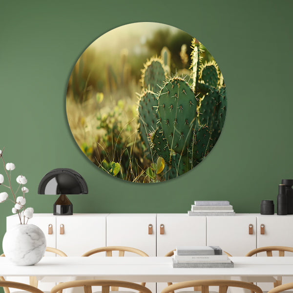 Close-up van cactusveld bij zonsopgang forex muurcirkel