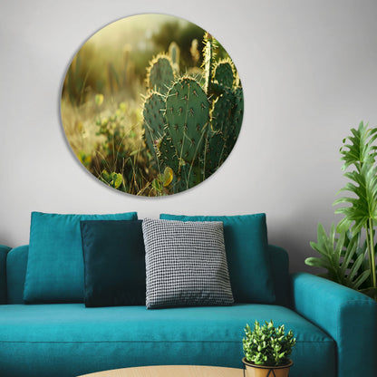 Close-up van cactusveld bij zonsopgang forex muurcirkel