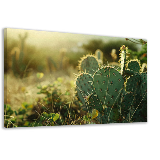 Close-up van cactusveld bij zonsopgang canvas