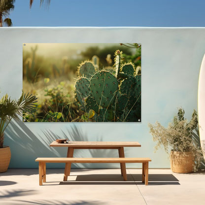 Close-up van cactusveld bij zonsopgang tuinposter