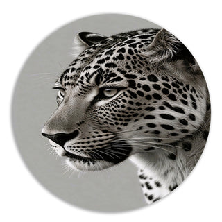 Luipaard en jaguar muurcirkels