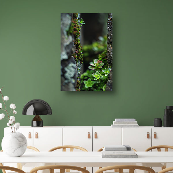 Close-up Groene Planten Tussen Stenen poster