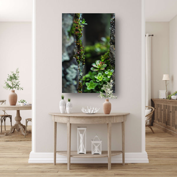 Close-up Groene Planten Tussen Stenen poster