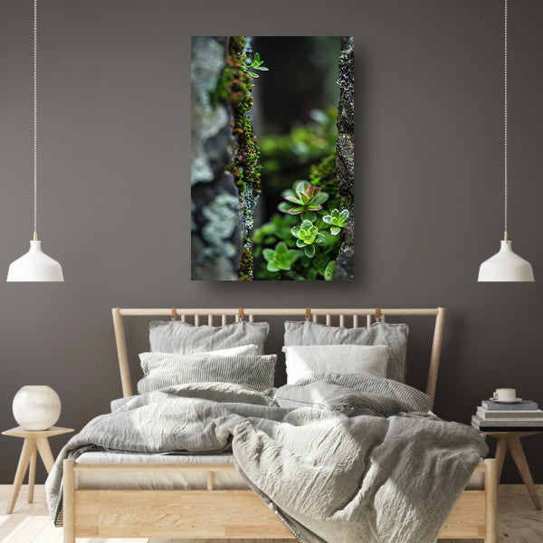 Close-up Groene Planten Tussen Stenen poster