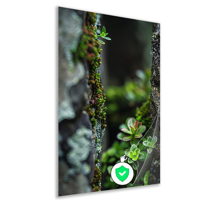 Close-up Groene Planten Tussen Stenen poster