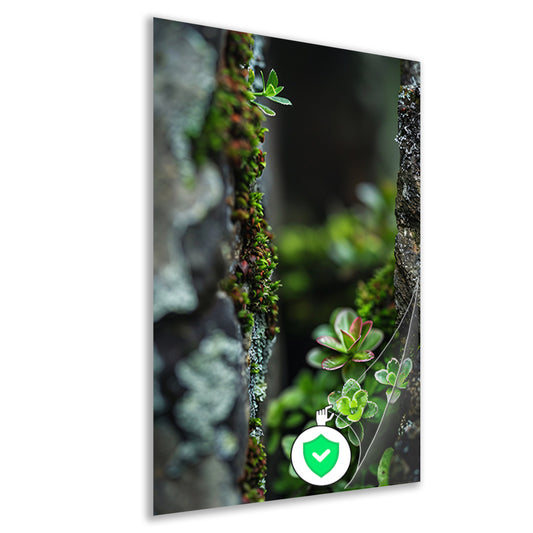 Close-up Groene Planten Tussen Stenen poster