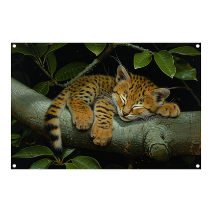 Slapende wilde kat op boomtak tuinposter