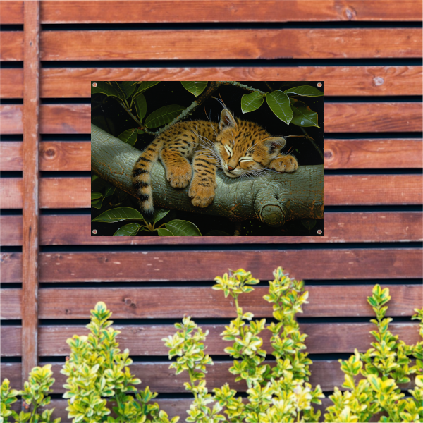 Slapende wilde kat op boomtak tuinposter