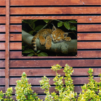 Slapende wilde kat op boomtak tuinposter