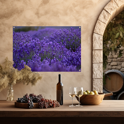 Lavendel in volle bloei met diepe paarse tinten tuinposter