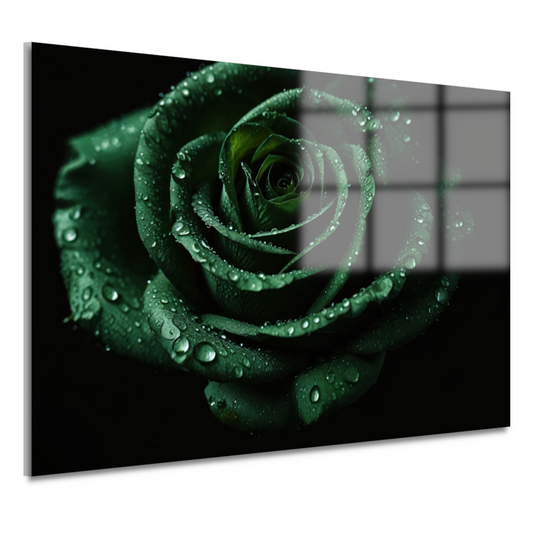 Donkergroene roos met dauw tegen zwart acrylglas