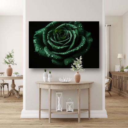 Donkergroene roos met dauw tegen zwart canvas