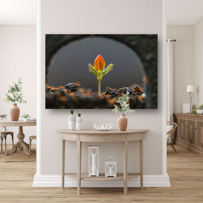 Close-up van ontkiemende plant canvas