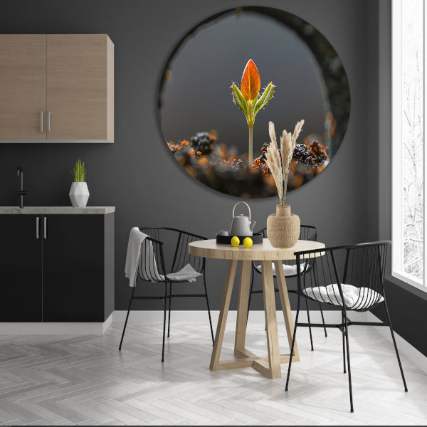 Close-up van ontkiemende plant forex muurcirkel