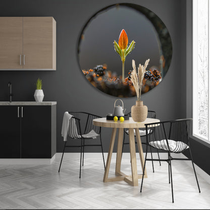 Close-up van ontkiemende plant forex muurcirkel