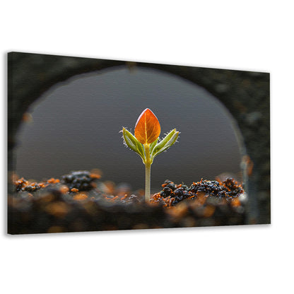 Close-up van ontkiemende plant canvas
