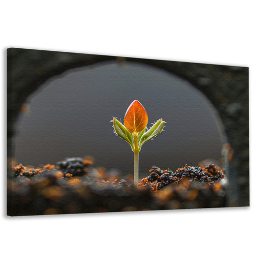 Close-up van ontkiemende plant canvas